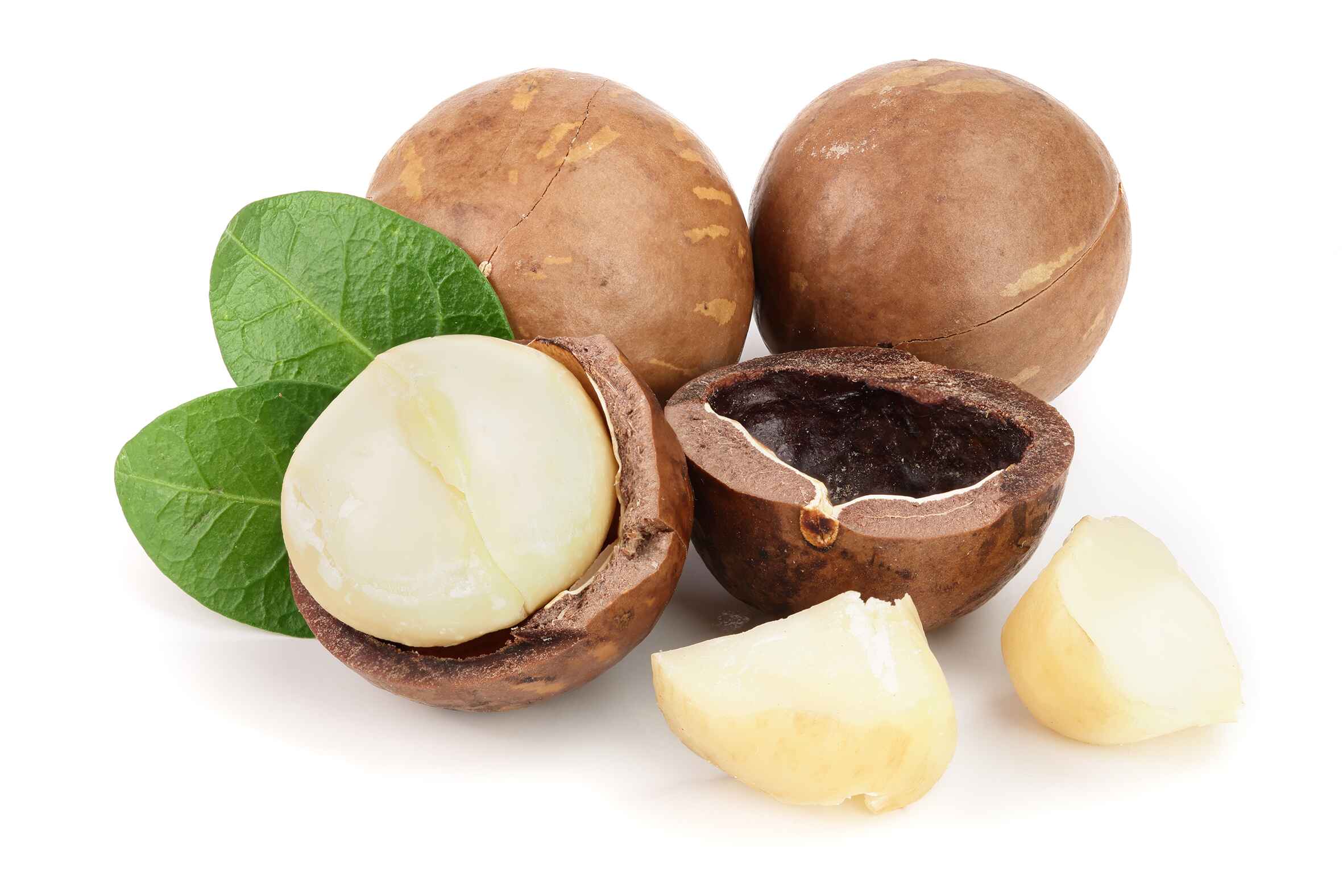 Macadamias on display